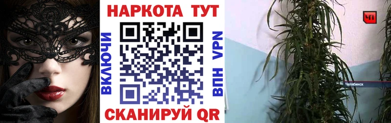 Где можно купить наркотики Курган COCAIN СК Гашиш мега вход Меф МАРИХУАНА ГЕРОИН
