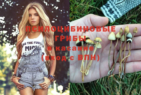 круглые Алексин