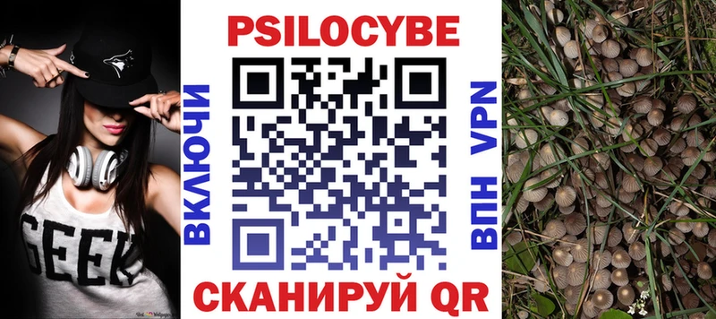 сколько стоит ОМГ ОМГ сайт Псилоцибиновые грибы ЛСД Курган